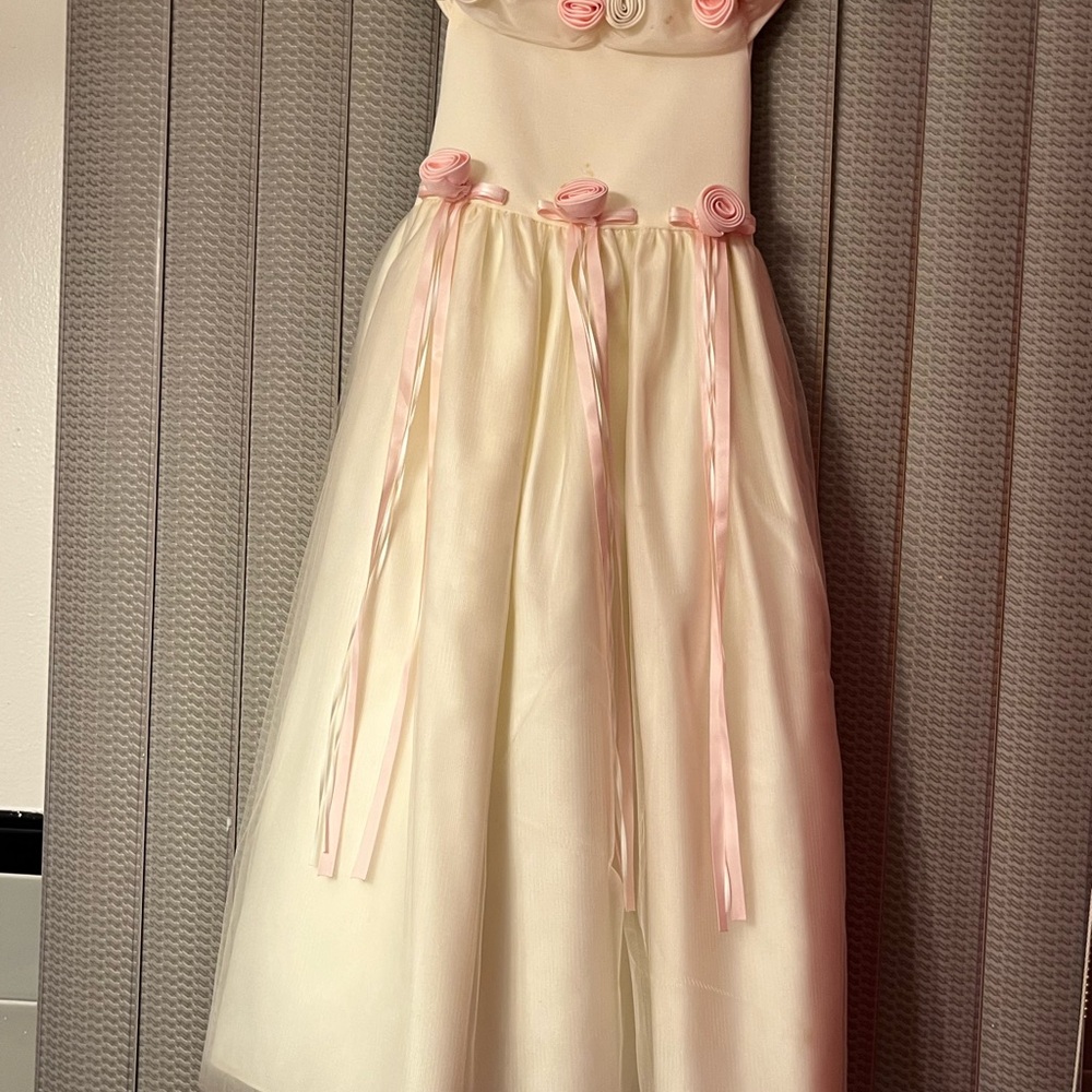 Princess dress with rose appliqués and tulle - worn once